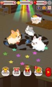 Animal Judy: Welsh Corgi care游戲截圖3