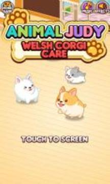 Animal Judy: Welsh Corgi care游戲截圖1