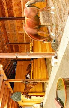 Escape Games-Locked Horse Farm游戲截圖1