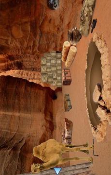 Escape Games - Canyon Treasure游戲截圖3