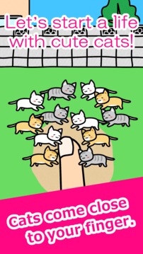 Play with Cats游戲截圖1