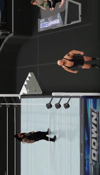 Fight WWE Action游戲截圖4