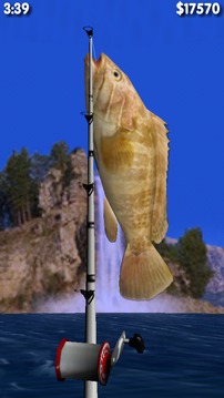 大型3D钓鱼运动游戏截图5