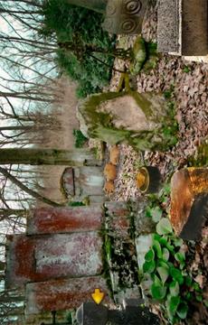 Escape Game-Abandoned Cemetery游戲截圖2
