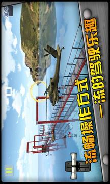 緊急迫降3D游戲截圖1