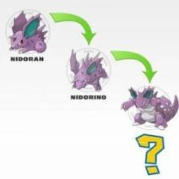 Quiz Poke Evolution游戲截圖1