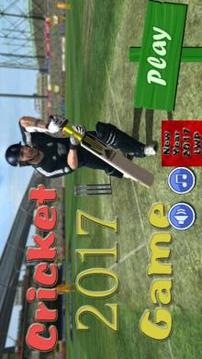 Cricket Game 2017 The Run游戲截圖1
