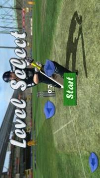 Cricket Game 2017 The Run游戲截圖5
