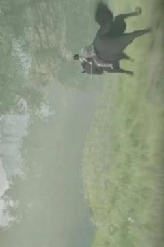 New Shadow of the Colossus FREE Guide游戲截圖4