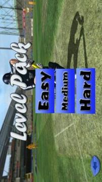 Cricket Game 2017 The Run游戲截圖4