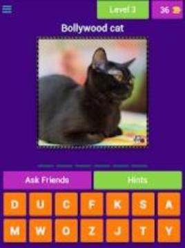 Cat Lovers Guess The Cat Game游戲截圖1