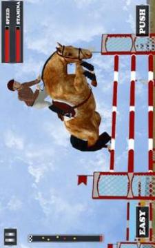 Derby Horse Race游戲截圖2
