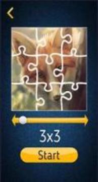 ? Puzzledom ?游戲截圖1