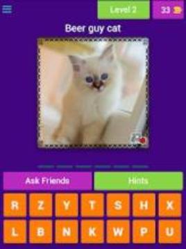 Cat Lovers Guess The Cat Game游戏截图2