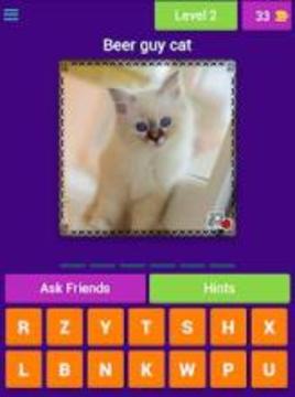Cat Lovers Guess The Cat Game游戲截圖2