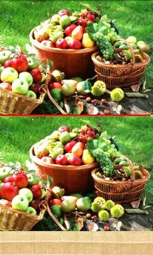 趣味找茬 FIND游戲截圖4