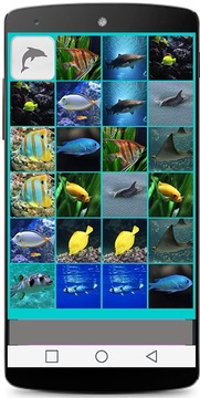 魚的記憶遊戲游戲截圖3