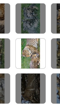 Kids puzzles: Animals游戲截圖1