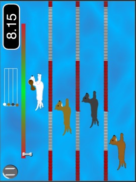 小狗桨比赛( Pad版)游戏截图2