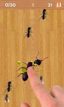 螞蟻粉碎機(jī)昆蟲殺手游戲截圖4