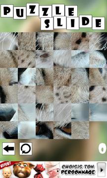 益智幻燈片：動物游戲截圖4