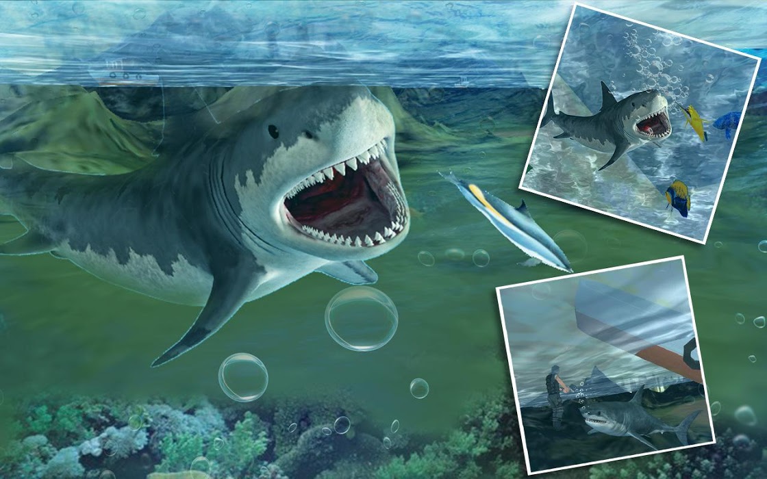 饥饿的大白鲨3d复仇下载