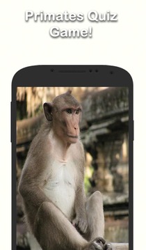 靈長類動物趣味問答游戲截圖4