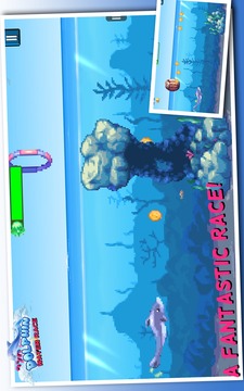 海豚水上競賽游戲截圖3
