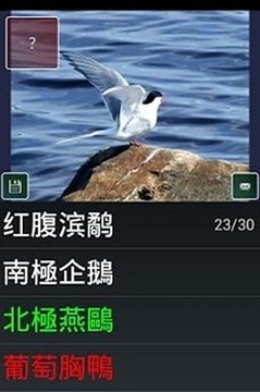 鳥物種瑣事問答游戲游戲截圖4