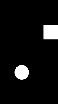 黑白轉(zhuǎn)換游戲截圖3