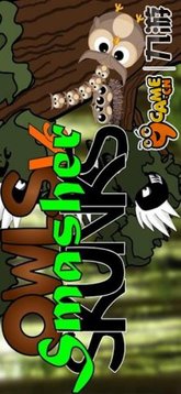憤怒的貓頭鷹游戲截圖5