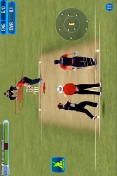 板球世界杯3D游戏截图2
