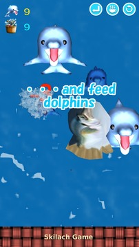 Feed Dolphins游戲截圖5
