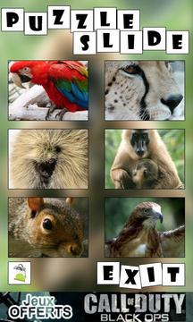 益智幻燈片：動物游戲截圖1