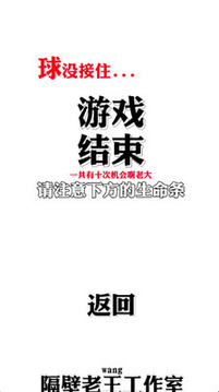 真無限打磚塊游戲截圖4