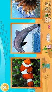 寶寶識海洋動物游戲截圖3