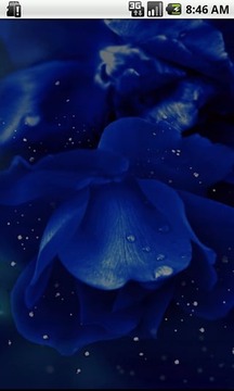浪漫煙花游戲截圖3
