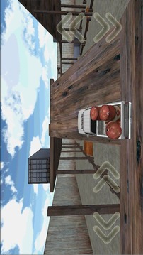 Rush Driver 3D游戲截圖5