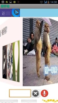 小看謎語(yǔ)游戲截圖1
