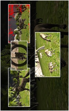 野生狼射擊游戲截圖3