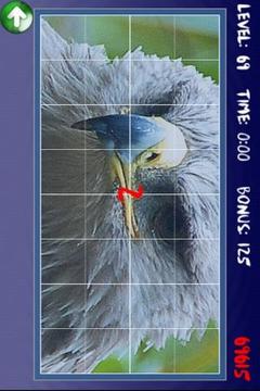 Rotate Puzzle游戲截圖3