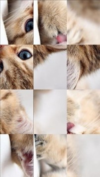 Mega Puzzle游戲截圖1