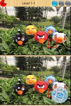 大家來(lái)找茬之小鳥(niǎo)篇游戲截圖2