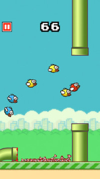 粉碎小鳥Flappy Crush游戲截圖2
