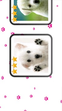 My Little Dog Kids Puzzle游戲截圖1