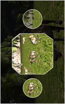 野生狼射擊游戲截圖4