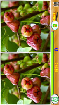 大家來玩找茬游戲截圖1