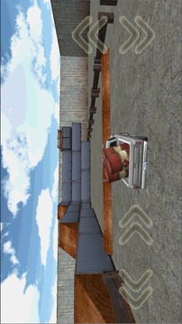 Rush Driver 3D游戲截圖3