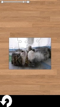 電影的貓拼圖游戲截圖3