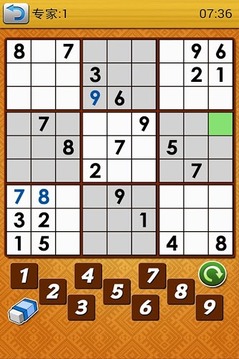 數(shù)獨(dú)世界杯游戲截圖5